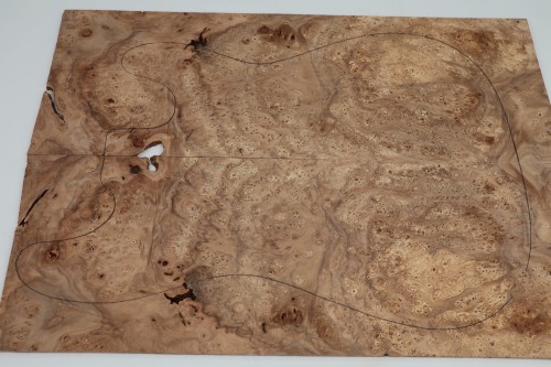 Wiąz Kaukaski Caucasian Elm drewniany top na gitarę guitar top