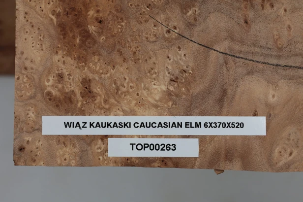 Wiąz Kaukaski Caucasian Elm drewniany top na gitarę guitar top