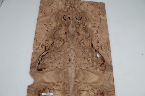 Wiąz Kaukaski Caucasian Elm drewniany top na gitarę guitar top