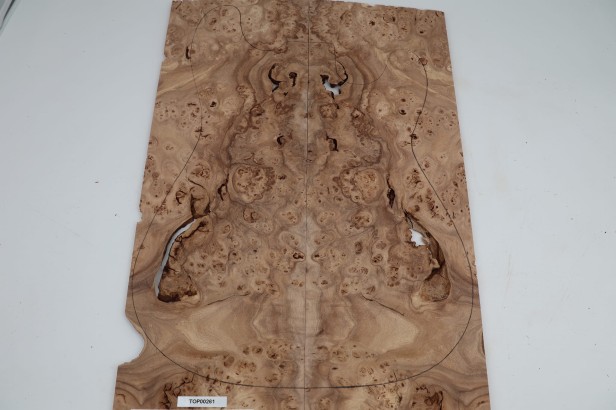 Wiąz Kaukaski Caucasian Elm drewniany top na gitarę guitar top