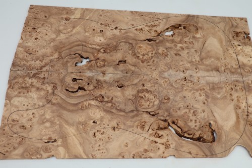 Wiąz Kaukaski Caucasian Elm drewniany top na gitarę guitar top