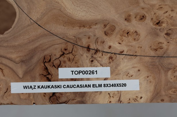 Wiąz Kaukaski Caucasian Elm drewniany top na gitarę guitar top