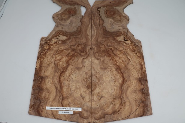 Wiąz Kaukaski Caucasian Elm drewniany top na gitarę guitar top