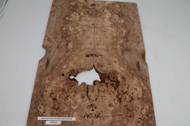 Wiąz Kaukaski Caucasian Elm drewniany top na gitarę guitar top
