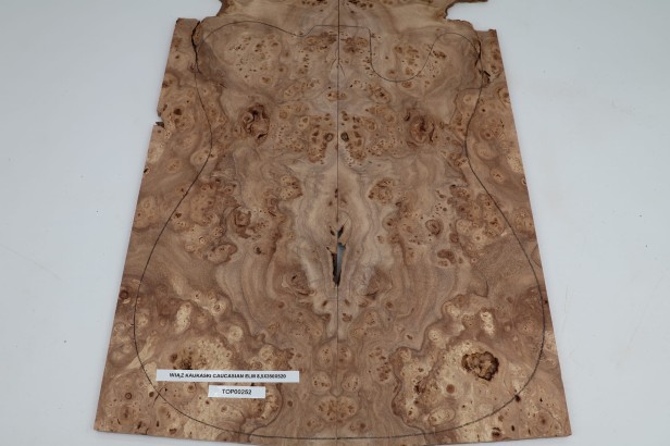 Wiąz Kaukaski Caucasian Elm drewniany top na gitarę guitar top