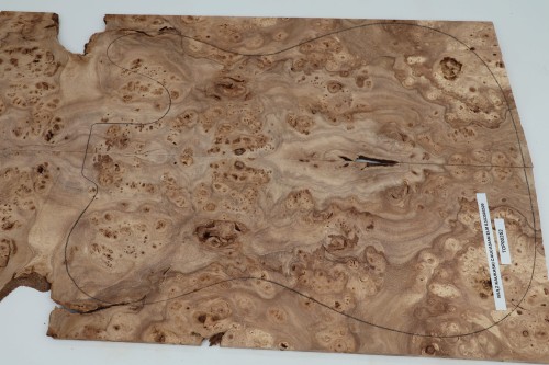 Wiąz Kaukaski Caucasian Elm drewniany top na gitarę guitar top