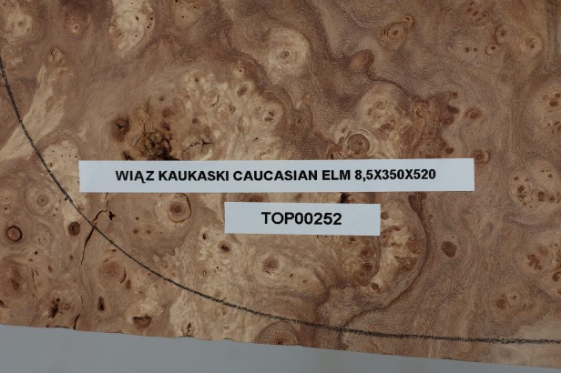 Wiąz Kaukaski Caucasian Elm drewniany top na gitarę guitar top