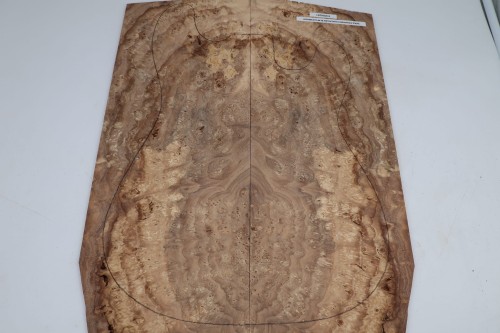 Wiąz Kaukaski Caucasian Elm drewniany top na gitarę guitar top