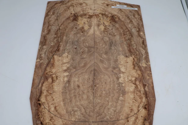 Wiąz Kaukaski Caucasian Elm drewniany top na gitarę guitar top