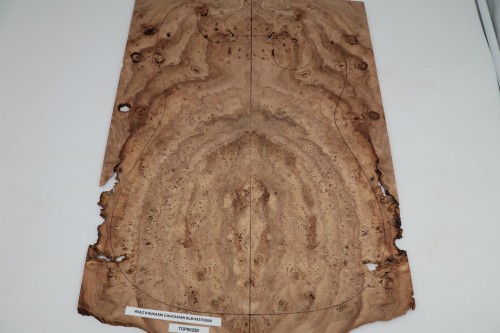 Wiąz Kaukaski Caucasian Elm drewniany top na gitarę guitar top