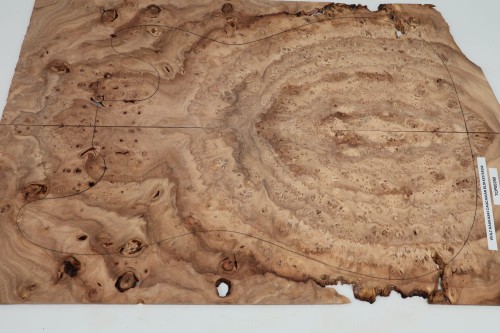 Wiąz Kaukaski Caucasian Elm drewniany top na gitarę guitar top