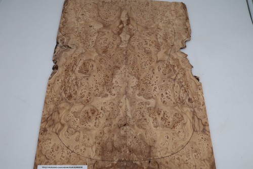 Wiąz Kaukaski Caucasian Elm drewniany top na gitarę guitar top