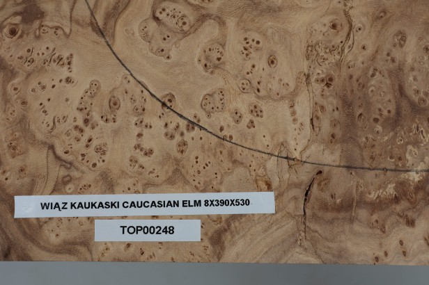 Wiąz Kaukaski Caucasian Elm drewniany top na gitarę guitar top