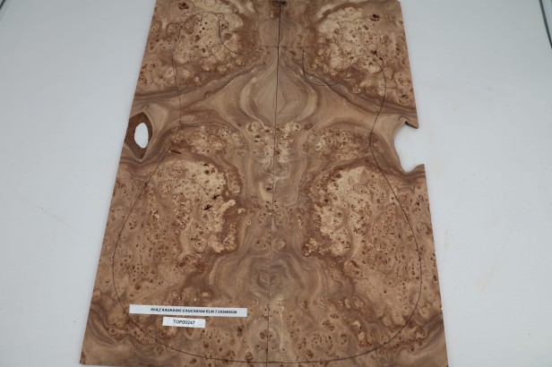 Wiąz Kaukaski Caucasian Elm drewniany top na gitarę guitar top