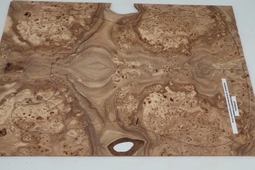 Wiąz Kaukaski Caucasian Elm drewniany top na gitarę guitar top