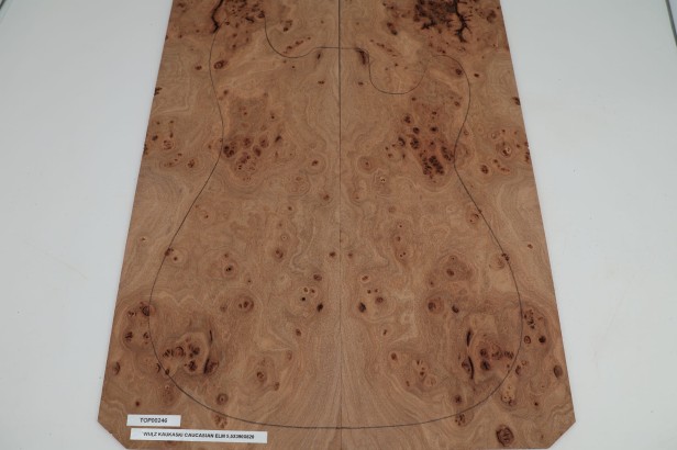 Wiąz Kaukaski Caucasian Elm drewniany top na gitarę guitar top