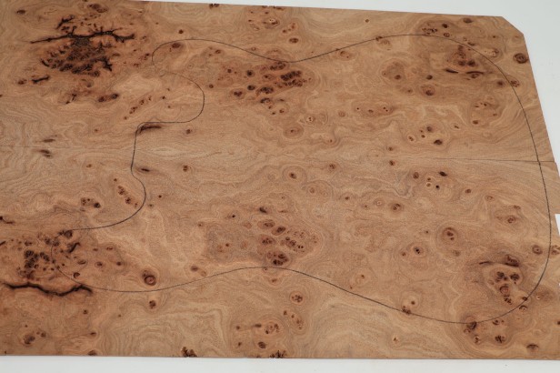 Wiąz Kaukaski Caucasian Elm drewniany top na gitarę guitar top