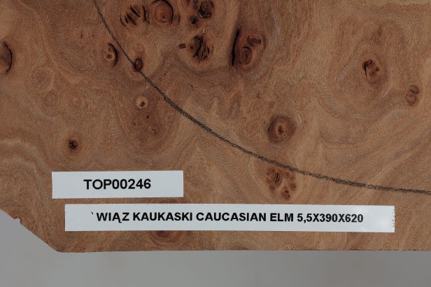 Wiąz Kaukaski Caucasian Elm drewniany top na gitarę guitar top