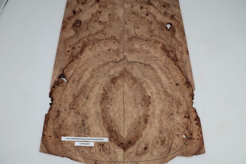 Wiąz Kaukaski Caucasian Elm drewniany top na gitarę guitar top