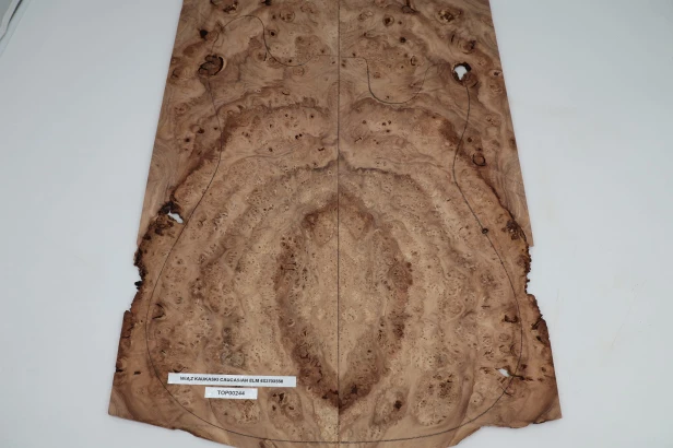 Wiąz Kaukaski Caucasian Elm drewniany top na gitarę guitar top