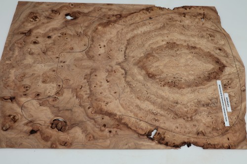 Wiąz Kaukaski Caucasian Elm drewniany top na gitarę guitar top