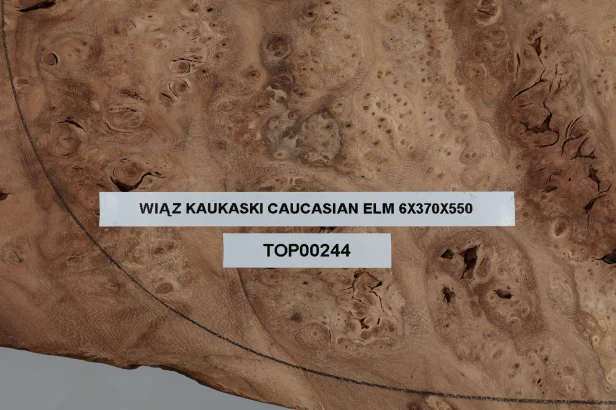 Wiąz Kaukaski Caucasian Elm drewniany top na gitarę guitar top