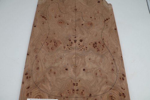 Wiąz Kaukaski Caucasian Elm drewniany top na gitarę guitar top