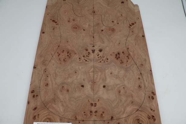 Wiąz Kaukaski Caucasian Elm drewniany top na gitarę guitar top