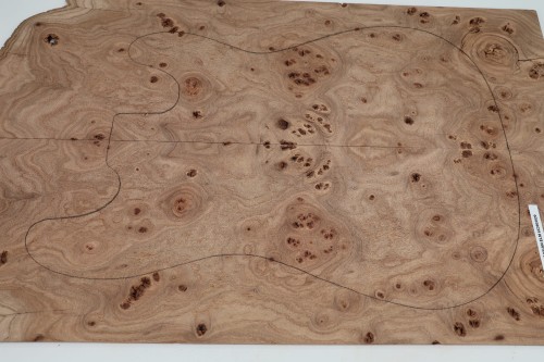 Wiąz Kaukaski Caucasian Elm drewniany top na gitarę guitar top