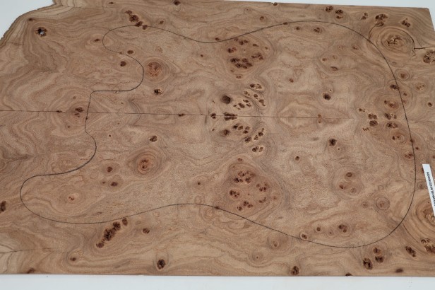 Wiąz Kaukaski Caucasian Elm drewniany top na gitarę guitar top