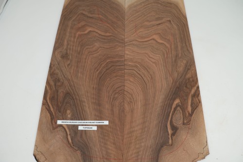 Orzech Kaukaski Caucasian Walnut drewniany top na gitarę guitar top