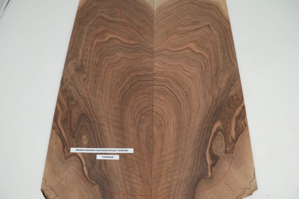 Orzech Kaukaski Caucasian Walnut drewniany top na gitarę guitar top