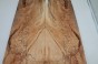 Buk Beech Wood spalted drewniany top na gitarę guitar top