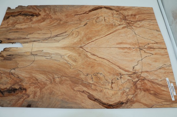 Buk Beech Wood spalted drewniany top na gitarę guitar top