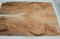 Buk Beech Wood spalted drewniany top na gitarę guitar top