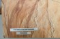 Buk Beech Wood spalted drewniany top na gitarę guitar top