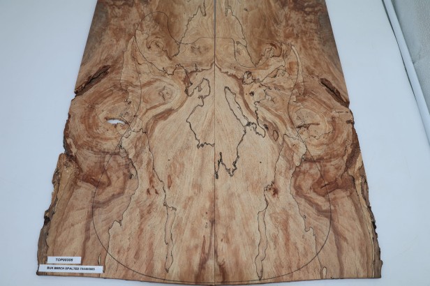 Buk Beech Wood spalted drewniany top na gitarę guitar top