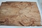 Buk Beech Wood spalted drewniany top na gitarę guitar top