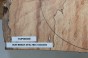 Buk Beech Wood spalted drewniany top na gitarę guitar top