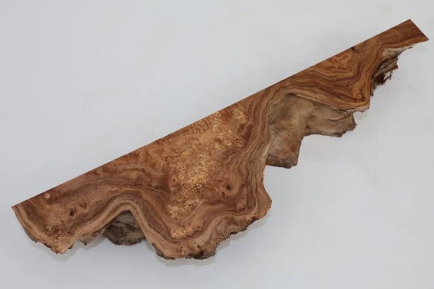 Wiąz Kaukaski Caucasian Elm czeczot burl