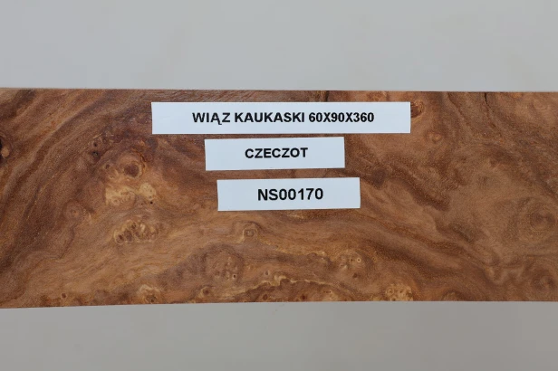 Wiąz Kaukaski Caucasian Elm czeczot burl