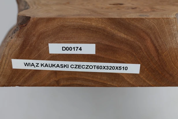 Wiąz Kaukaski Caucasian Elm czeczot burl