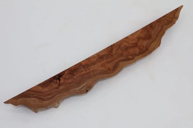 Wiąz Kaukaski Caucasian Elm czeczot burl
