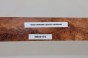 Wiąz Kaukaski Caucasian Elm czeczot burl