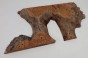 Wiąz Kaukaski Caucasian Elm czeczot burl