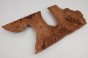 Wiąz Kaukaski Caucasian Elm czeczot burl