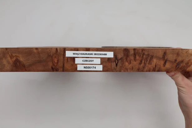 Wiąz Kaukaski Caucasian Elm czeczot burl