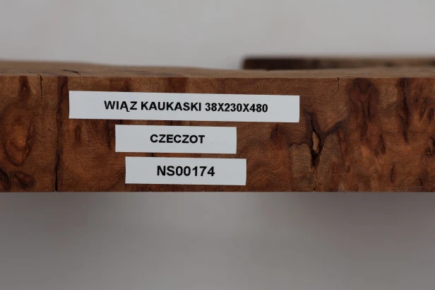 Wiąz Kaukaski Caucasian Elm czeczot burl