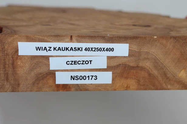 Wiąz Kaukaski Caucasian Elm czeczot burl