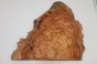 Wiąz Kaukaski Caucasian Elm czeczot burl